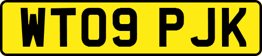 WT09PJK