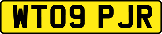 WT09PJR