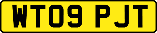 WT09PJT