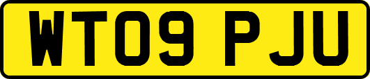 WT09PJU