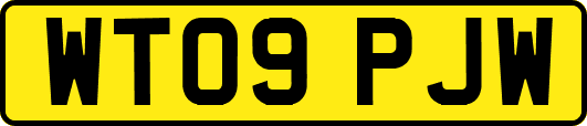 WT09PJW