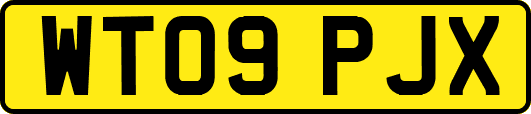 WT09PJX