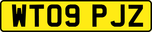 WT09PJZ