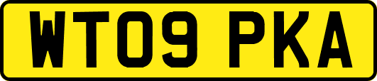 WT09PKA