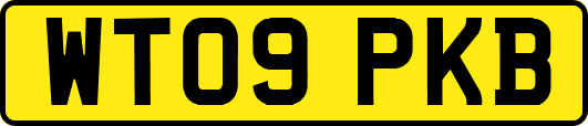 WT09PKB