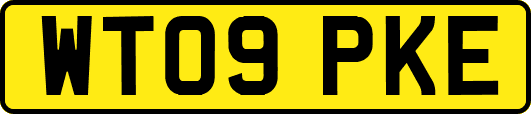 WT09PKE