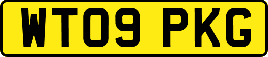 WT09PKG