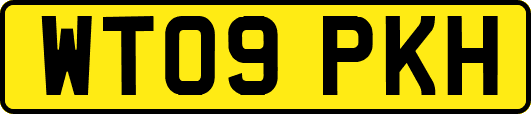 WT09PKH