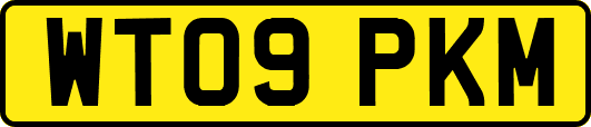 WT09PKM