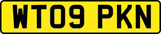 WT09PKN