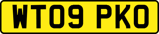 WT09PKO