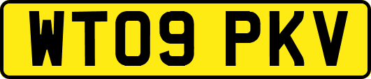 WT09PKV
