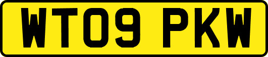 WT09PKW