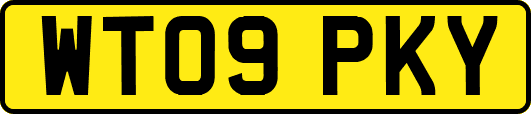 WT09PKY