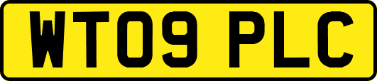 WT09PLC