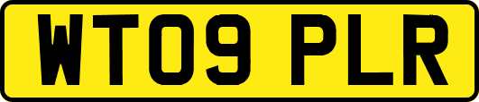 WT09PLR