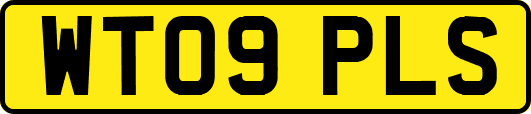 WT09PLS