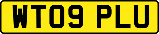WT09PLU