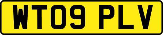 WT09PLV