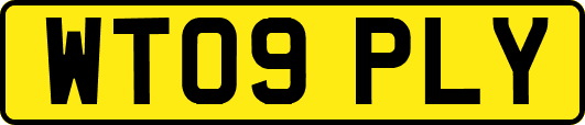 WT09PLY