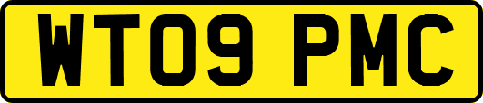 WT09PMC