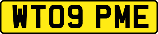 WT09PME