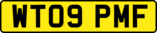 WT09PMF