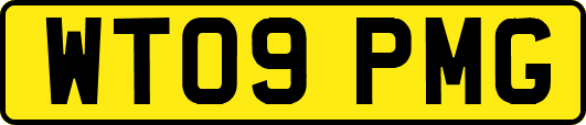 WT09PMG