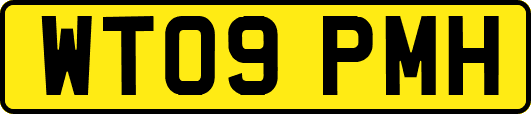 WT09PMH