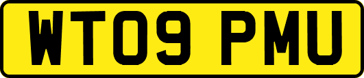 WT09PMU