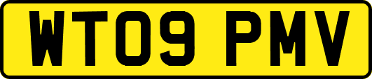 WT09PMV
