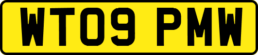 WT09PMW