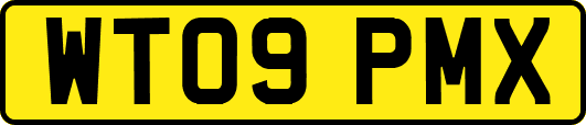 WT09PMX