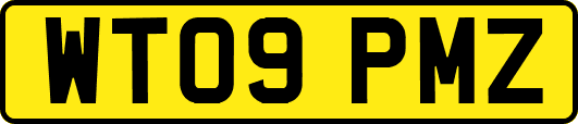 WT09PMZ