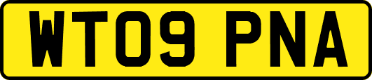 WT09PNA