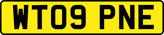 WT09PNE