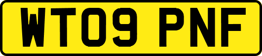 WT09PNF
