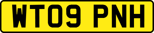 WT09PNH