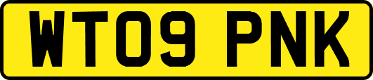 WT09PNK