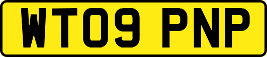 WT09PNP