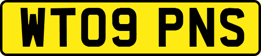 WT09PNS
