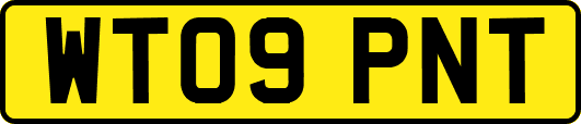 WT09PNT