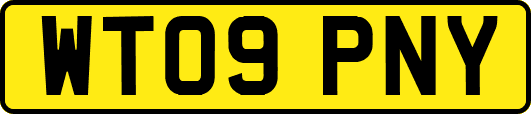 WT09PNY