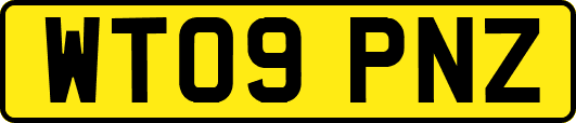 WT09PNZ