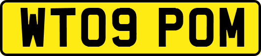 WT09POM