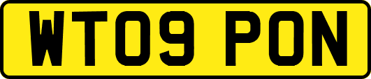 WT09PON