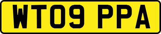 WT09PPA