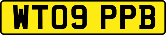 WT09PPB