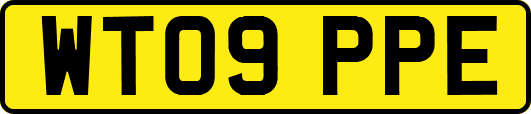 WT09PPE