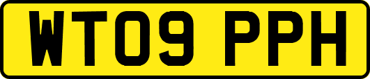 WT09PPH
